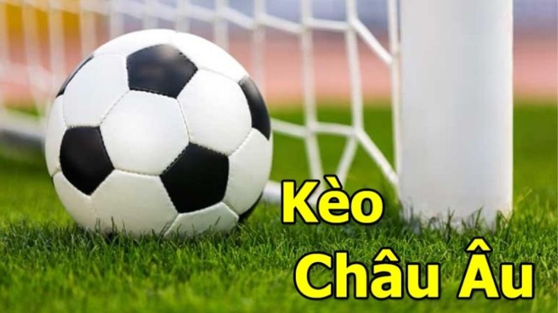 Mây Tre Phú Vinh: Tỷ Lệ Ăn Tiền Giữa Các Loại Kèo Cá Độ Bóng Đá