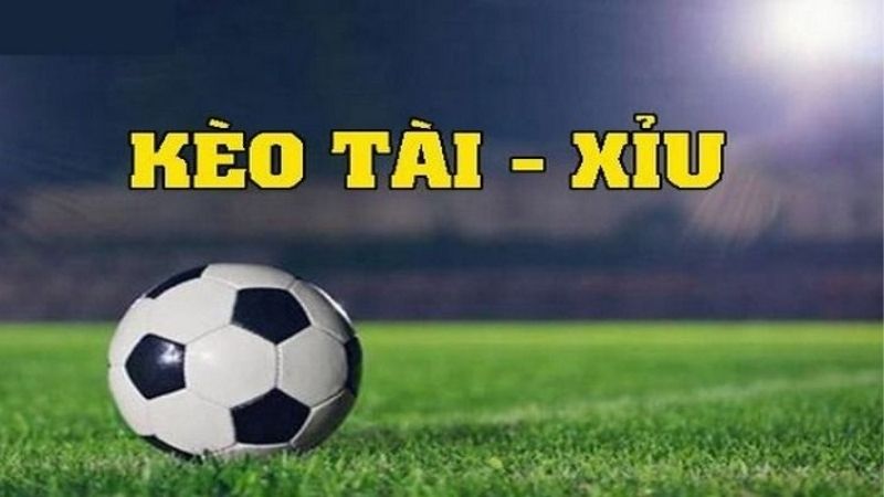 Mây Tre Phú Vinh: Tỷ Lệ Ăn Tiền Giữa Các Loại Kèo Cá Độ Bóng Đá