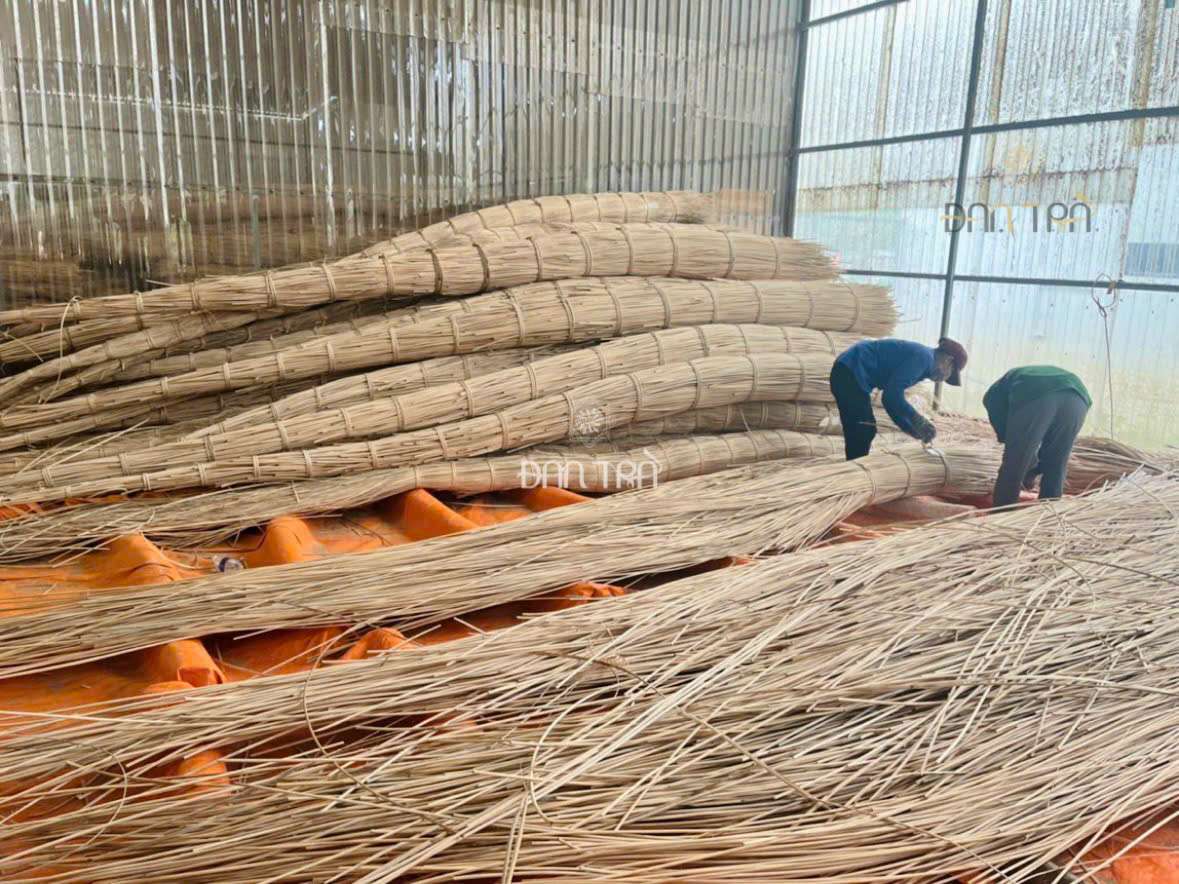 Mây tự nhiên mang vẻ đẹp thô mộc, trong khi mây nhân tạo có màu sắc và kiểu dáng đa dạng.