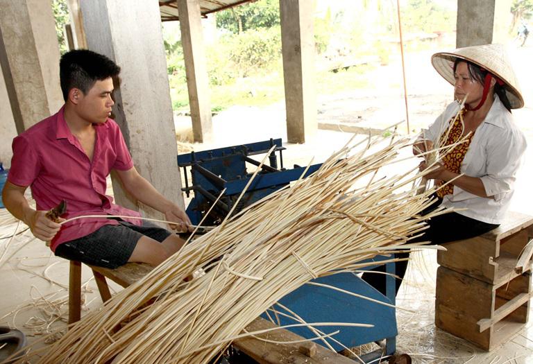 Chuẩn Bị Trước Khi Chẻ Mây Làm Đồ Đan