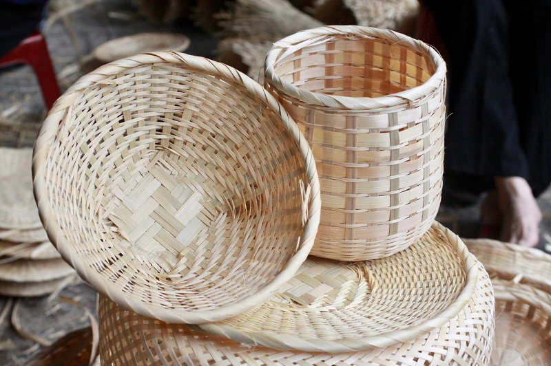 Các Loại Tre Phổ Biến Thường Dùng Để Đan Lát Hiện Nay