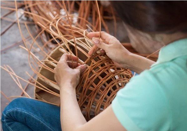 Tại Sao Cần Áp Dụng Cách Làm Mềm Mây Để Đan Đúng Kỹ Thuật?