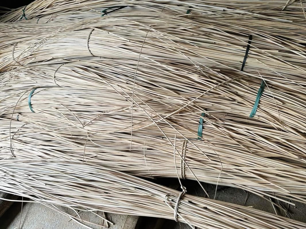 Sợi mây tròn đều, màu sắc tự nhiên thể hiện nguyên liệu đã đạt độ tuổi thu hoạch chuẩn.