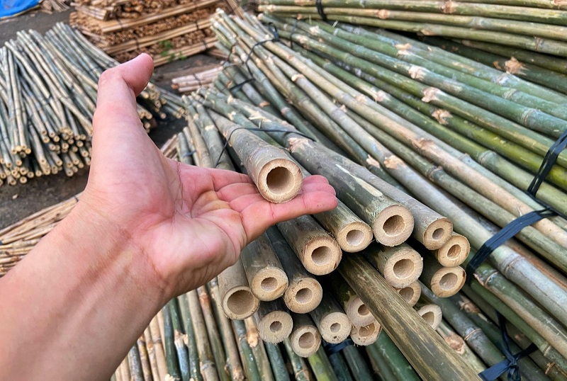 Tại Sao Kỹ Thuật Chọn Tre Lại Quyết Định 90% Độ Bền Sản Phẩm Đan?