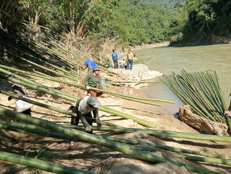 Ngâm mây đúng cách là bước nền tảng giúp sợi mây đạt độ dẻo dai tối đa trước khi tạo hình.